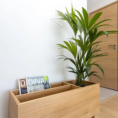 Tiiru Pesa Appartement